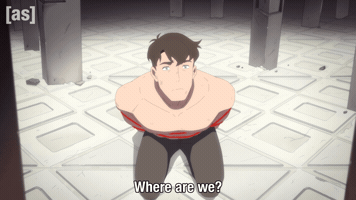 Where Are We Superman GIF by Adult Swim