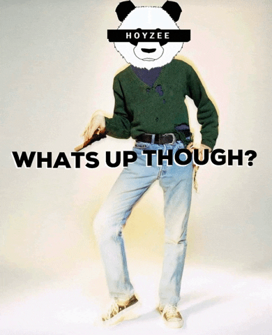 Hoyzee GIF