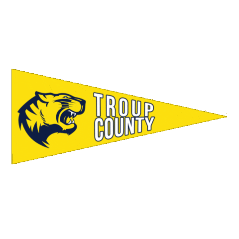 Football Troup Sticker by GPB Sports