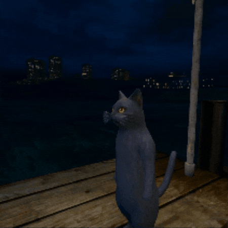 Scottnblackcat GIF