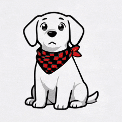 Happy Fun GIF by FlannelGo