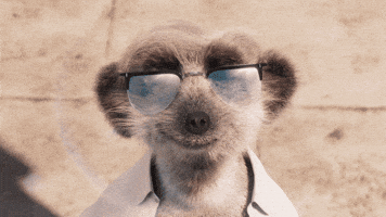 Relaxed Out Of Office On GIF by Compare the Market