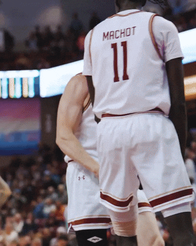 College Of Charleston Cougars GIF by Charleston Basketball