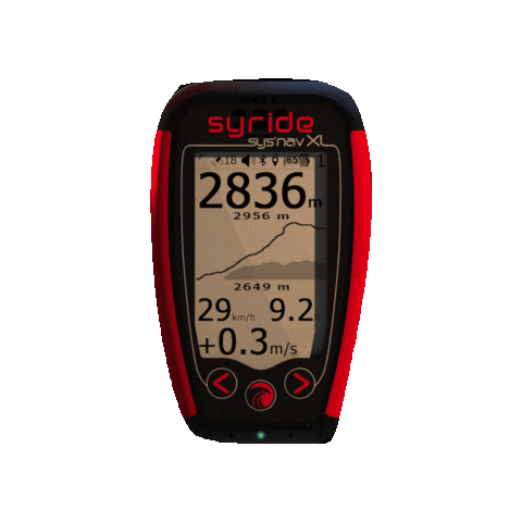 Syride Sticker