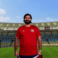 You Suck Costa Rica GIF by World Cup