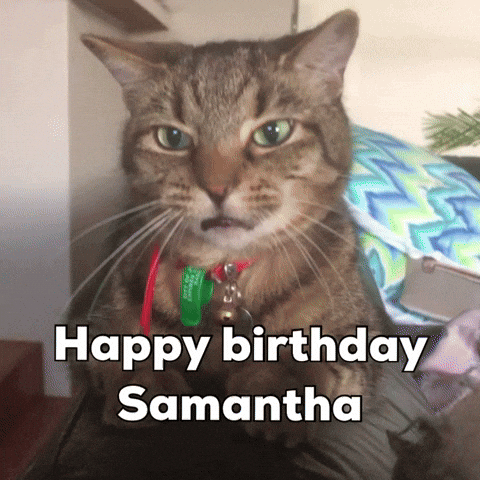 Cat Birthday GIF