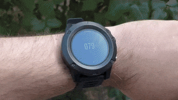 Animated GIF