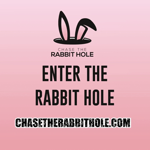 Rabbit GIF