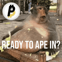 Btp Gif By Bitpal Find Share On Giphy