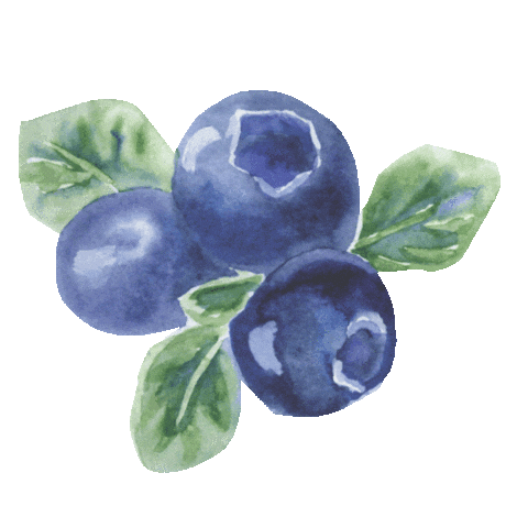 Blueberry Pie Fruit Sticker by urbanwalls