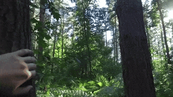 forest camping GIF by SoulPancake