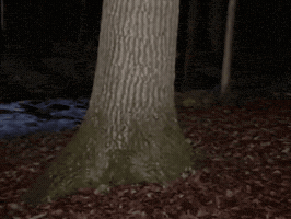 Banjo Gartenzwerg GIF by UBS Schweiz