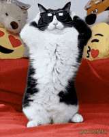 achievement GIF - Happy Dance GIF