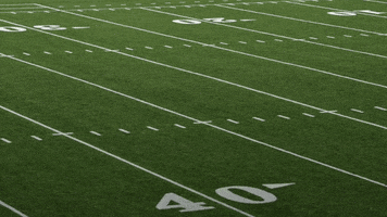 Text gif. Text appears on a picture of a football field. Text, “Nice, nice, nice, nice, nice, nice, nice, nice, Good.”