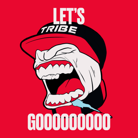 Screaming Lets Go GIF by Tribe Gaming