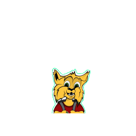 Sierra Vista Unified School District Sticker