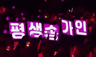 송가인 Songgain GIF