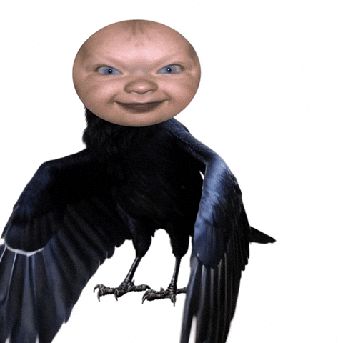 Baby Wtf GIF by POST-WEB