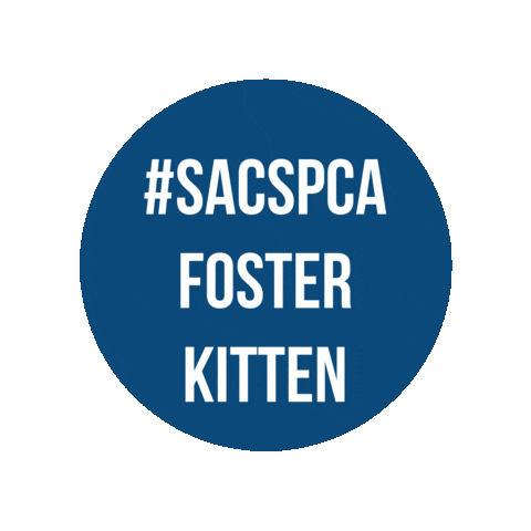 Kitten Foster Sticker by Sacramento SPCA