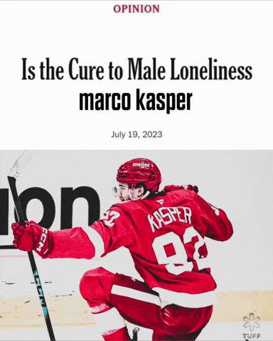 Red Wings GIF