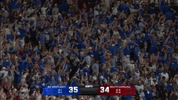Kentucky Wildcats GIF by UK Athletics