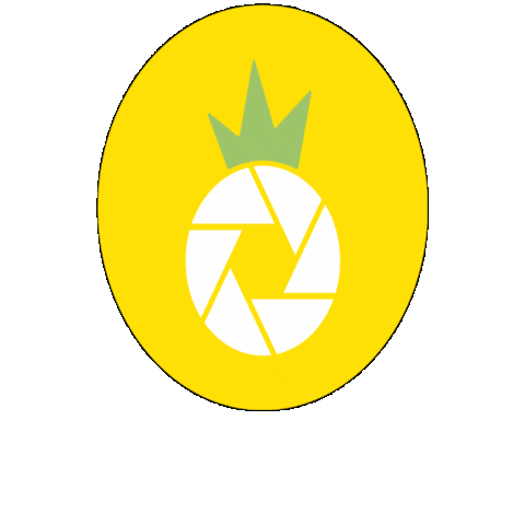 Costa Rica Pineapple Sticker by OHANAPHOTOSHOP