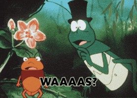 No Way What GIF by S100Int