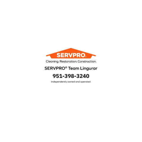 SERVPRO Team Lingurar GIF