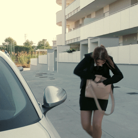 Ksenia Security GIF