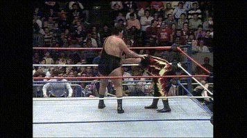 Wwf GIF