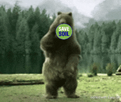 200.gif?cid=fc005b08b737b14ec39d0e588faa50074aefb1468d2f1633&rid=200.gif&ct=g