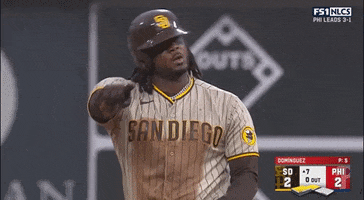 Baseball GIF