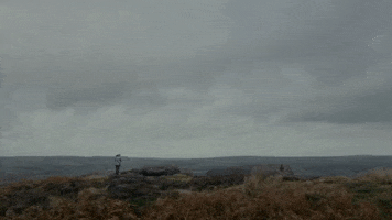 Love Story Romance GIF by TIFF