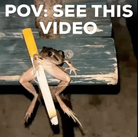 Frog GIF