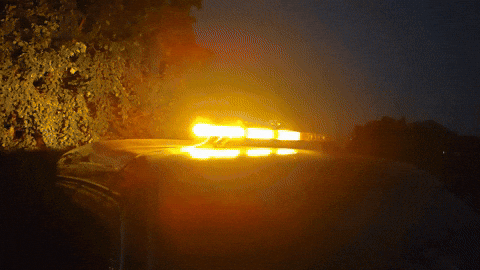 Flashing Giphy GIF test