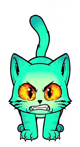 Angry Cat GIF by Hero Galaxy NFT