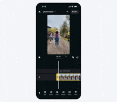 Animated GIF