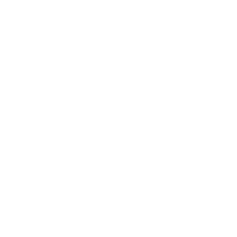 ALPHA SPORTS NUTRITION Sticker