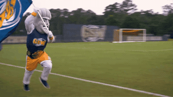 Flag Mascot GIF by Georgia Southwestern State University