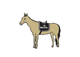 Horse Saddle Sticker by Belstra Milling Company