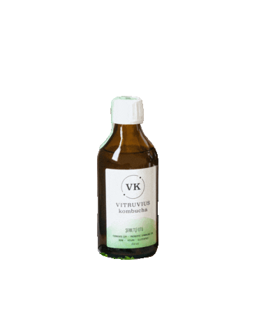 Kombucha Vk Sticker