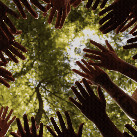 Common Ground Find GIF by WhyAxisOrg