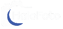 Halofotoquiz Sticker by Halofoto App