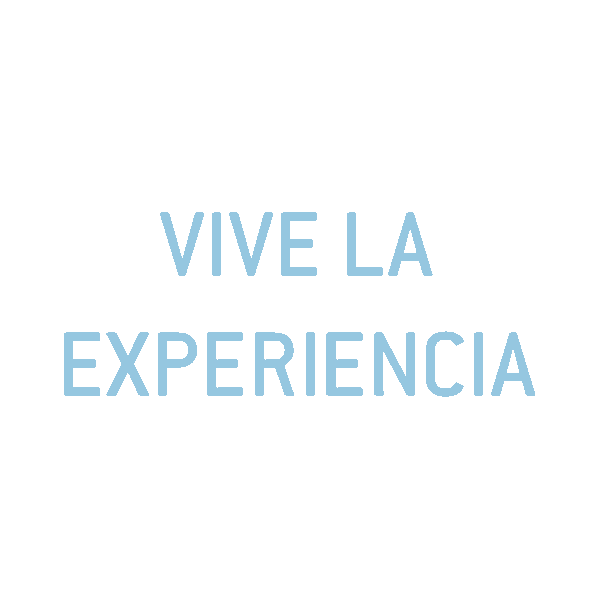 Piloto Aire Sticker by VirtualFly