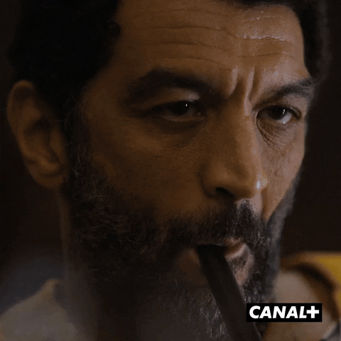 Ramzy Bedia Eyes GIF by CANAL+