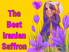 Flower Iran GIF by alanj saffron