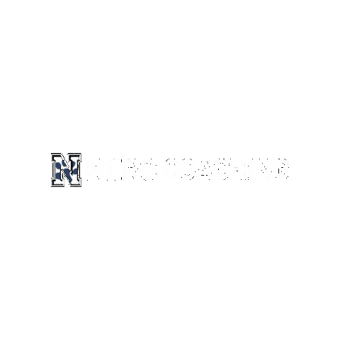 Nero Coaching Sticker by Nero Training Club