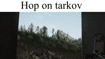 Tarkov GIF