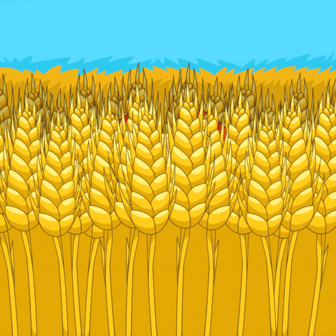 Excuse Me Hello GIF by BRAVO READY