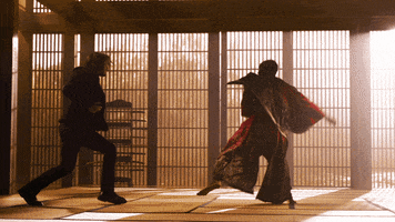 Martial Arts Fighting GIF by The Matrix